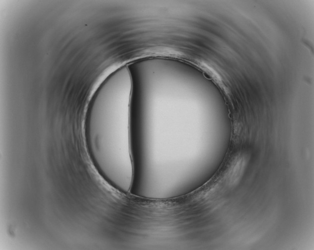 X0000091590947200708200949
