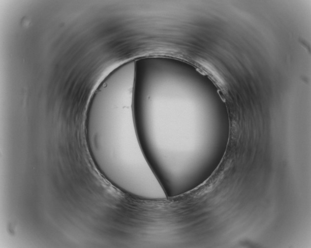 X0000091590948200708200949