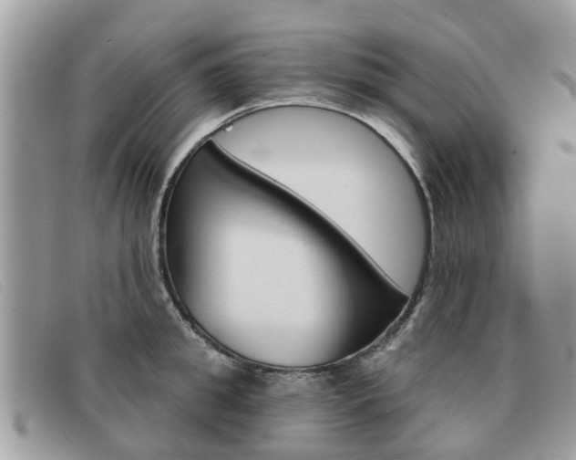 X0000091590949200708200949
