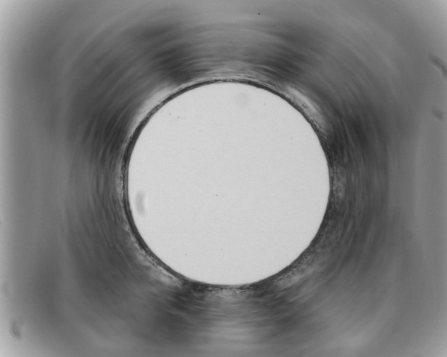 X0000091590950200708200949