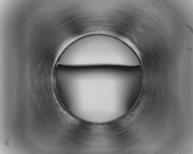 X0000091590951200708200949