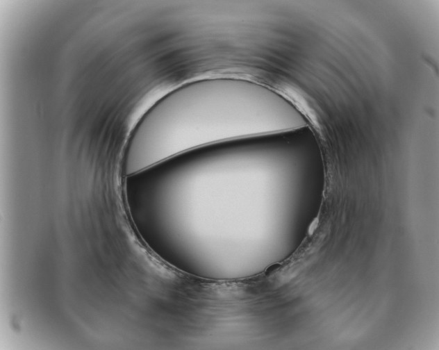 X0000091590952200708200949