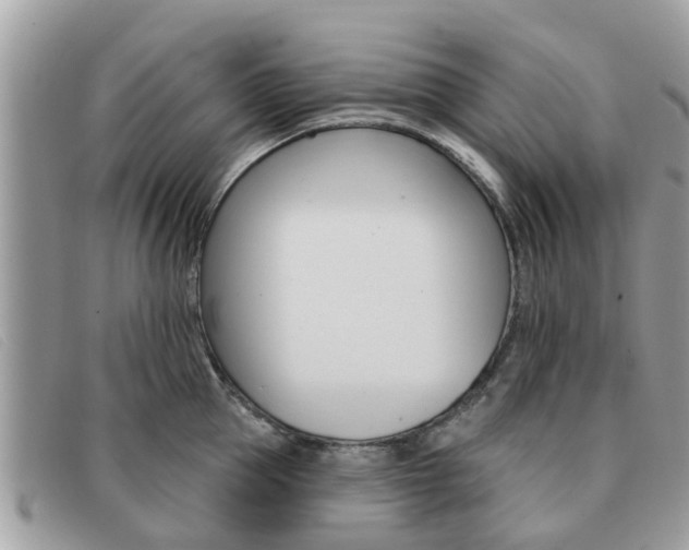 X0000091590953200708200949