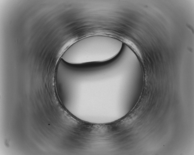 X0000091590954200708200949