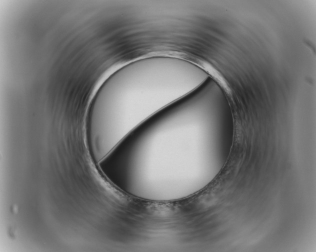 X0000091590955200708200949