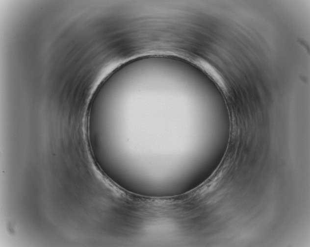 X0000091590958200708200949