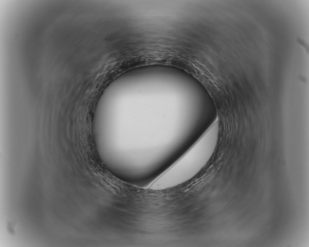 X0000091590961200708200948