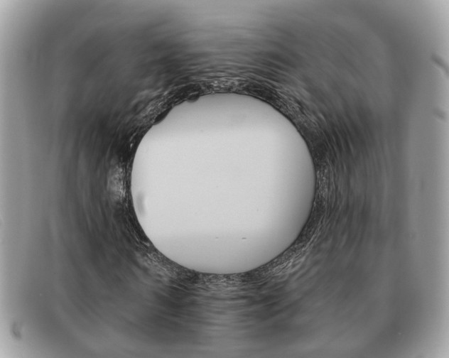 X0000091590962200708200948