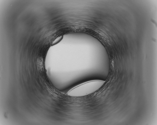 X0000091590963200708200948