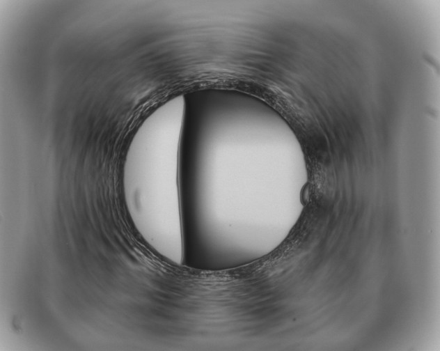 X0000091590964200708200948