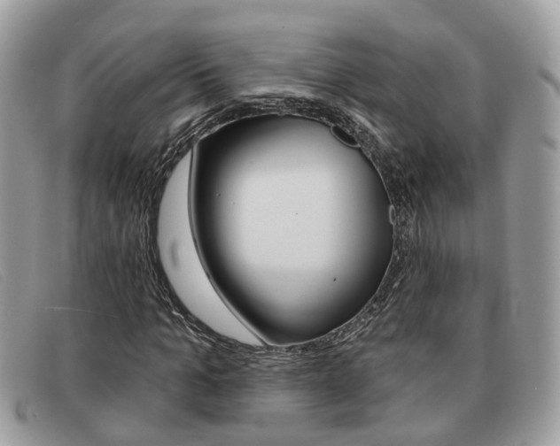 X0000091590965200708200948