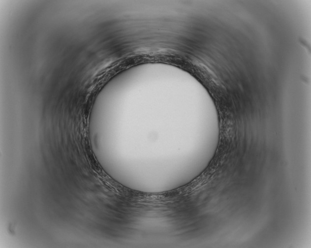 X0000091590966200708200948