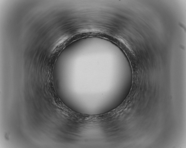X0000091590967200708200948