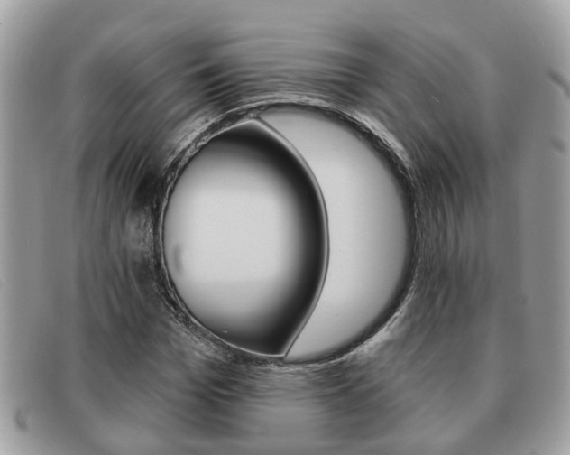 X0000091590969200708200948