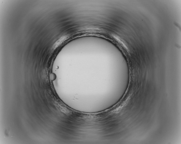 X0000091590970200708200948
