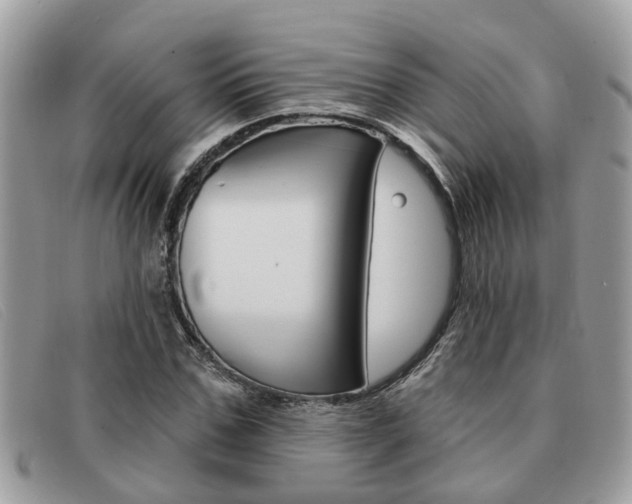 X0000091590971200708200948