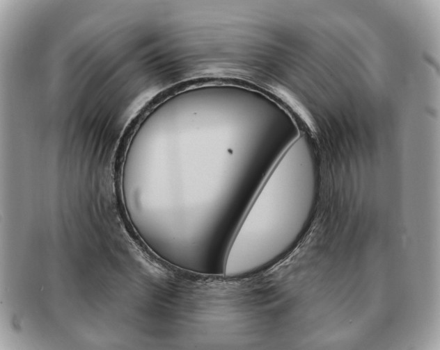 X0000091590972200708200948