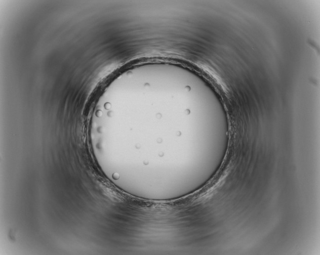 X0000091590974200708200948