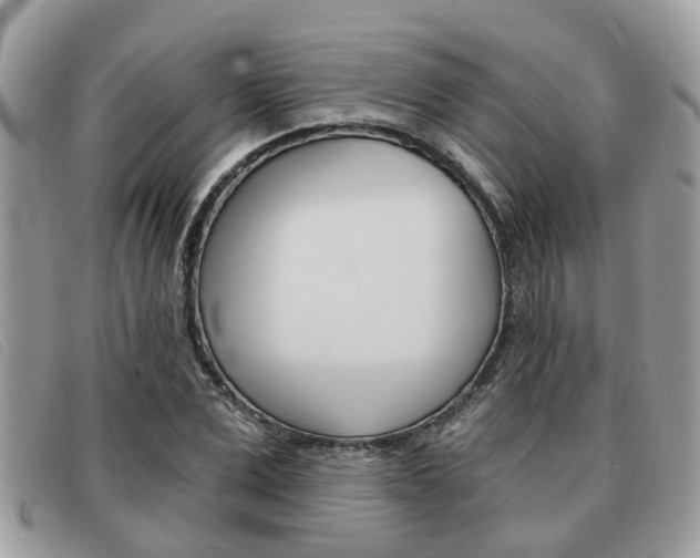 X0000091590975200708200948