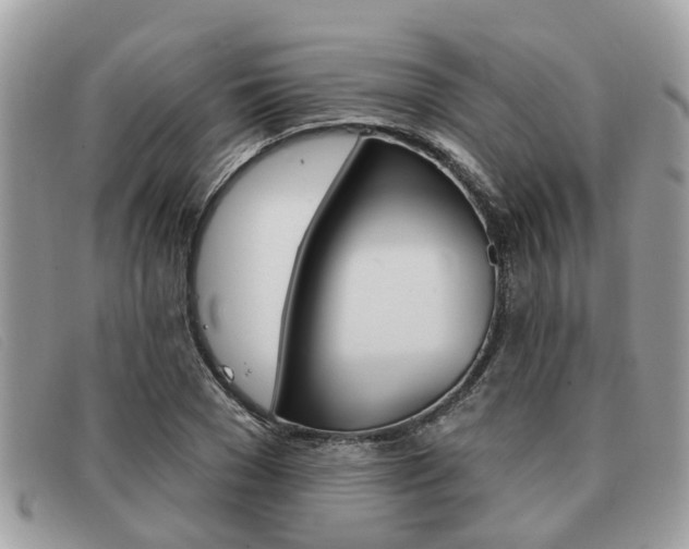 X0000091590977200708200948