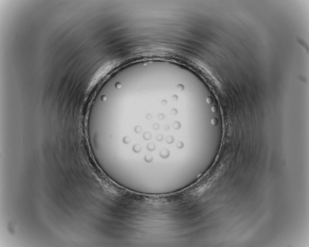 X0000091590978200708200948