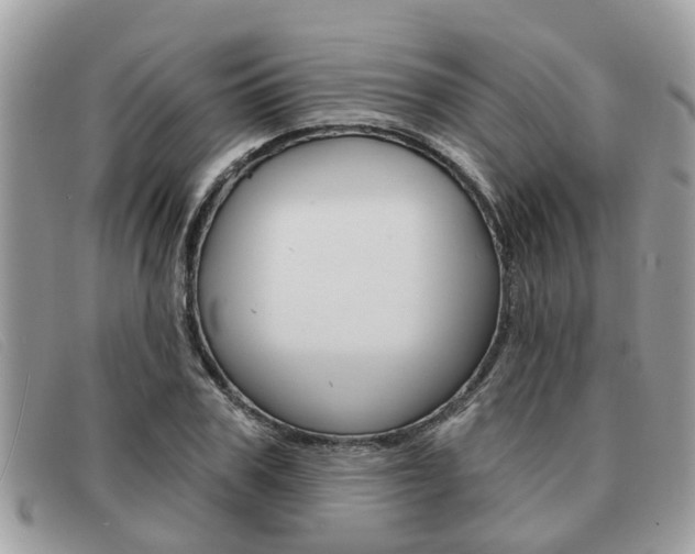 X0000091590979200708200948