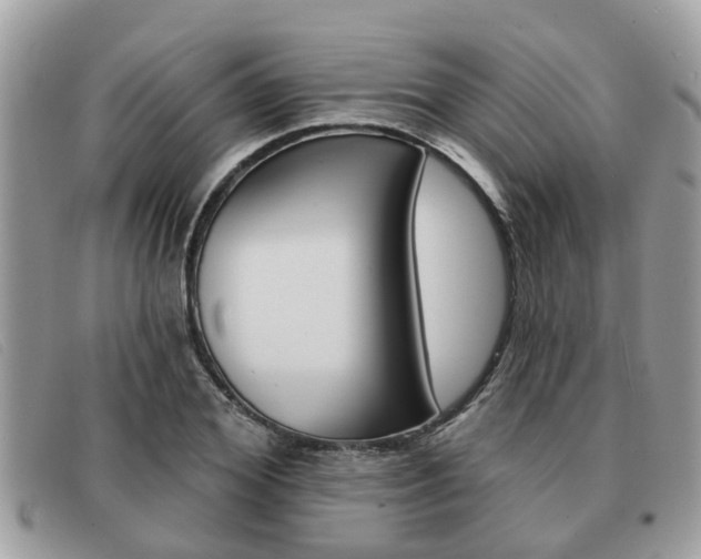 X0000091590980200708200948