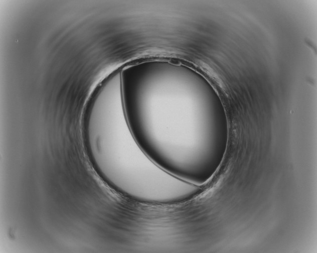 X0000091590981200708200948
