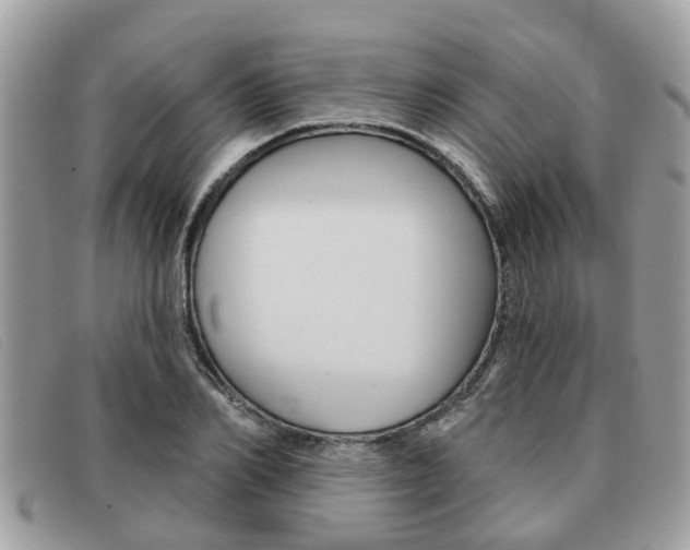 X0000091590982200708200948