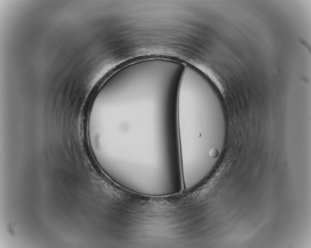 X0000091590983200708200948