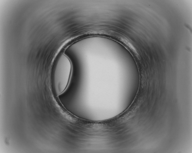 X0000091590984200708200948