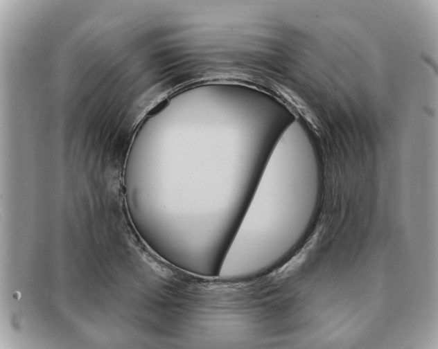 X0000091590985200708200948