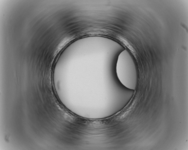 X0000091590986200708200948