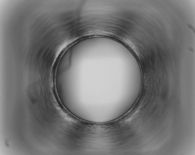 X0000091590987200708200948