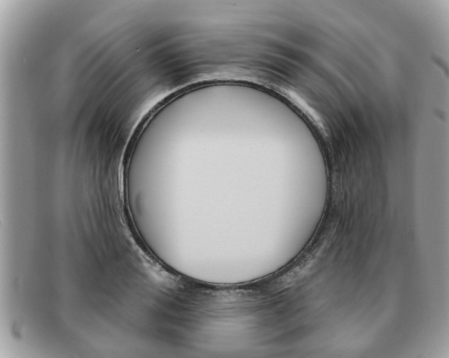 X0000091590988200708200948