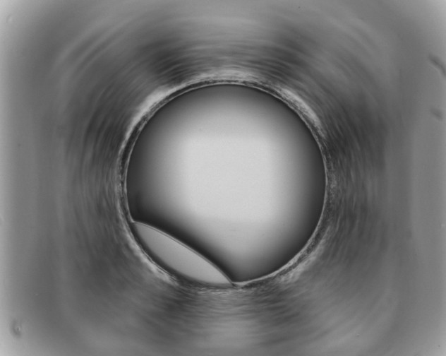 X0000091590989200708200948