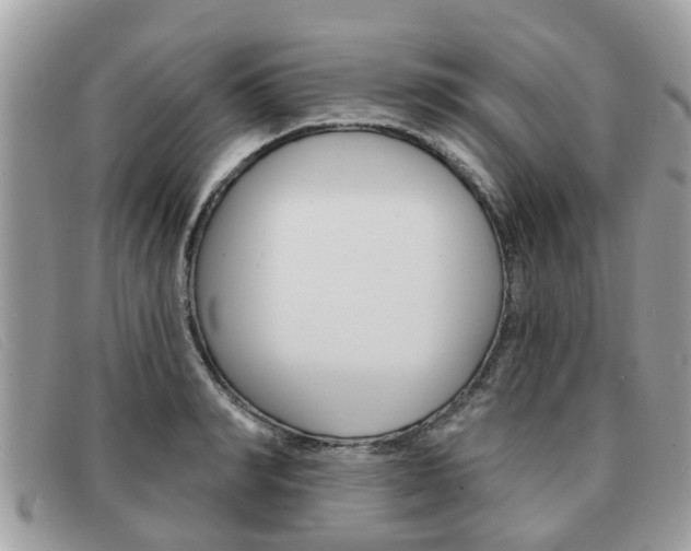 X0000091590990200708200948
