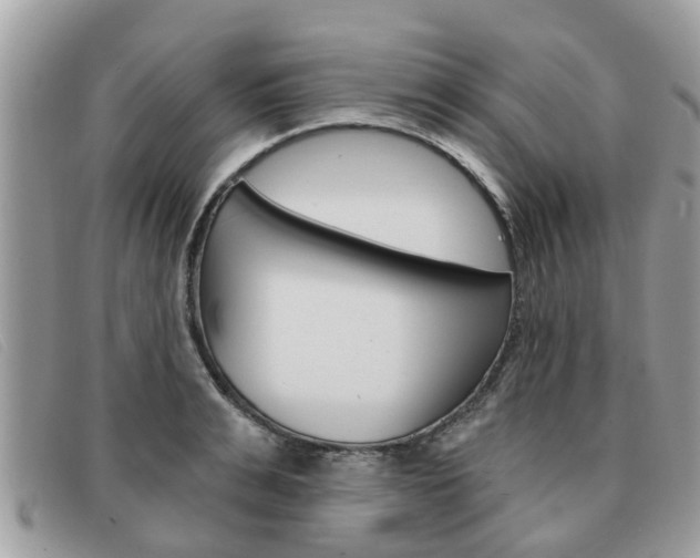 X0000091590991200708200948