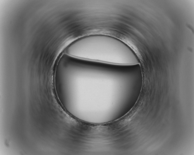 X0000091590992200708200948