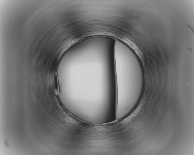 X0000091590993200708200948