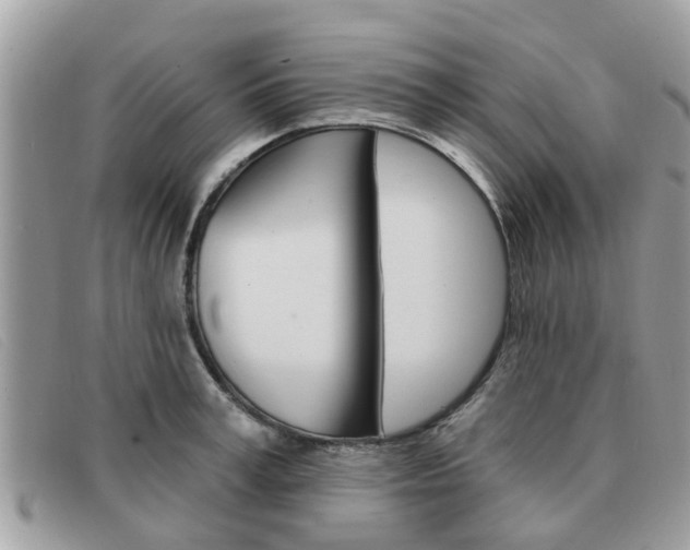 X0000091590995200708200948