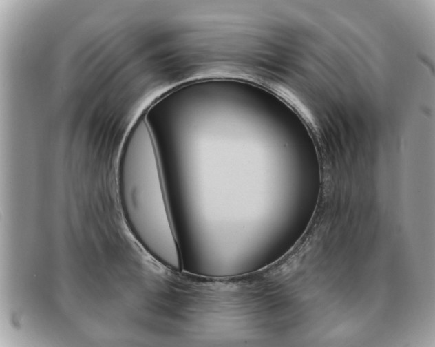 X0000091590996200708200948