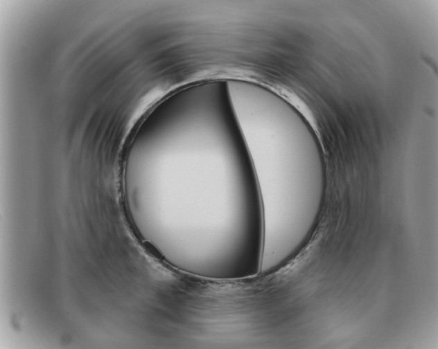 X0000091590997200708200948