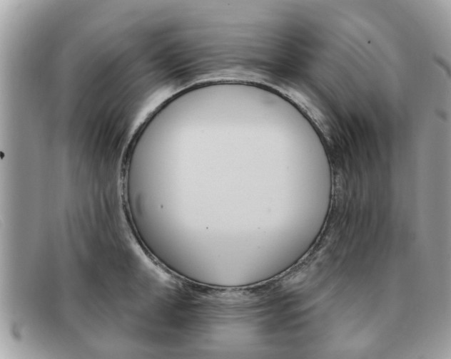 X0000091590998200708200948