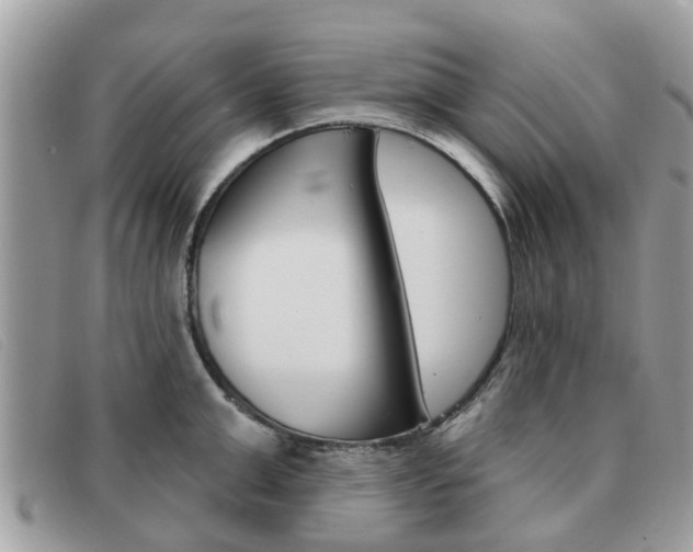 X0000091590999200708200948