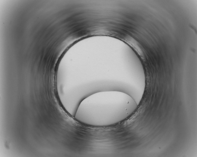 X0000091591000200708200948
