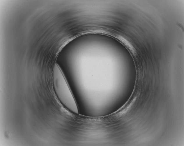 X0000091591001200708200948