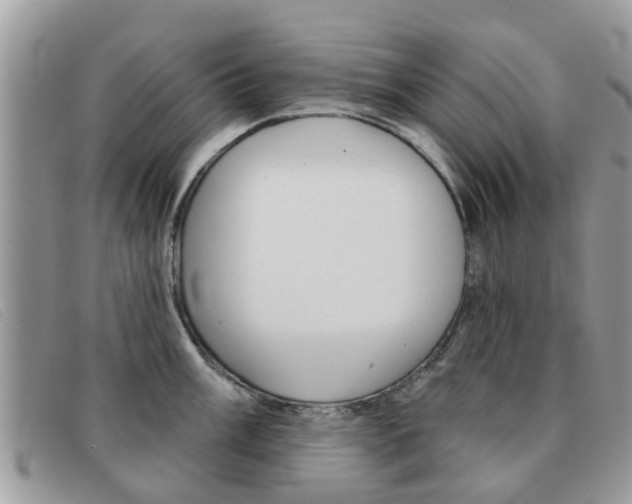 X0000091591003200708200948