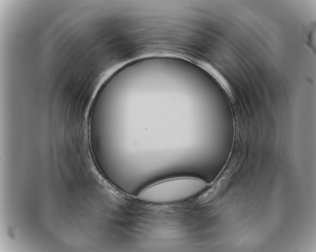 X0000091591004200708200947