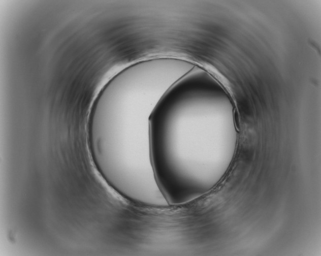 X0000091591005200708200947